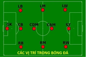 Những vị trí trong một trận bóng đá – Phân tích vai trò của từng vị trí